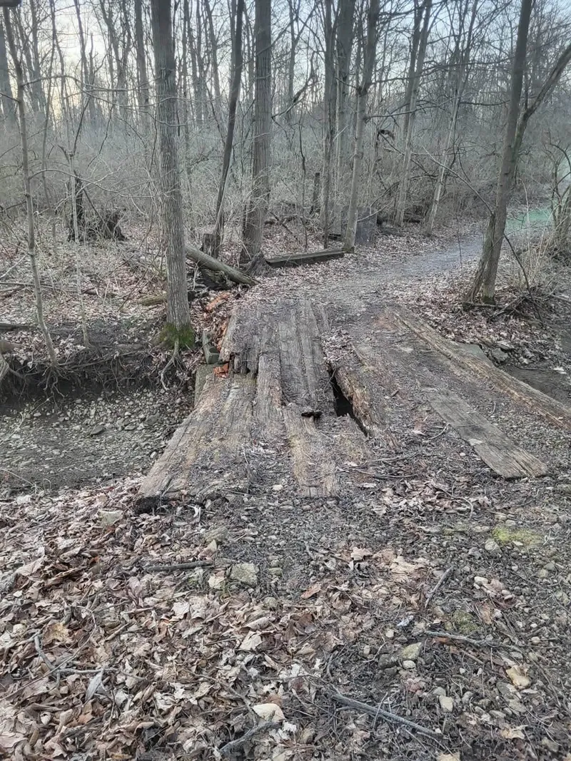 Rotted, collapsed wooden crossing over a small creek