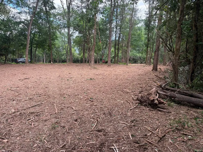 Cleared wooded lot with a mulch floor