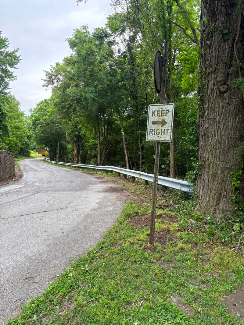 Brush cleared back from a guardrail on a curving road