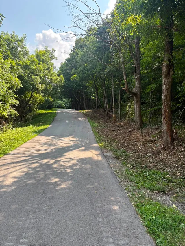 Township road through woods with brush cleared back from both edges